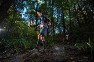 BIB: 
                            <button type="button" onclick="openModal(19232234)" class="btn btn-primary btn-sm float-right btn-popup" data-toggle="modal" data-target=".modal-high-quality">
                        <i class="fas fa-shopping-cart"></i> Add to Cart
                    </button>
                                            <button type="button" onclick="isThisMe(19232234, true)" class="btn btn-success btn-sm float-right btn-popup btn-isme hidden" data-toggle="tooltip" data-placement="bottom" title="นี่คือรูปของคุณใช่ไหม คลิกที่นี่เพื่อเอาเข้าอัลบั้ม">
                        <i class="fas fa-plus"></i> Add to album
                    </button>
                    <button type="button" onclick="isThisMe(19232234, false)" class="btn btn-warning btn-sm float-right btn-popup btn-isnotme hidden">
                        <i class="fas fa-ban"></i> Remove from album
                    </button>